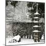 Snowfall in Portland Japanese Garden, Portland, Oregon, USA-William Sutton-Mounted Photographic Print