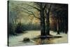 Snowfall in the Wood-Maso Di Banco-Stretched Canvas