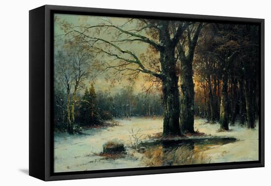 Snowfall in the Wood-Maso Di Banco-Framed Stretched Canvas