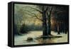 Snowfall in the Wood-Maso Di Banco-Framed Stretched Canvas