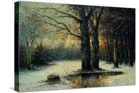 Snowfall in the Wood-Maso Di Banco-Stretched Canvas