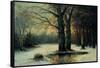 Snowfall in the Wood-Maso Di Banco-Framed Stretched Canvas