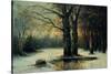 Snowfall in the Wood-Maso Di Banco-Stretched Canvas