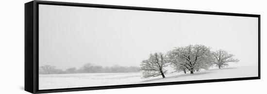 Snowfall Jo Davies County Illinois-Steve Gadomski-Framed Stretched Canvas