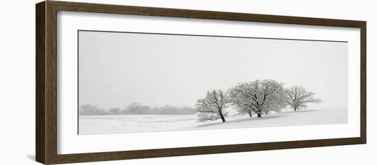 Snowfall Jo Davies County Illinois-Steve Gadomski-Framed Photographic Print