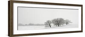 Snowfall Jo Davies County Illinois-Steve Gadomski-Framed Photographic Print