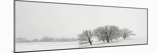 Snowfall Jo Davies County Illinois-Steve Gadomski-Mounted Photographic Print