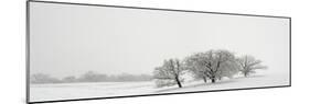 Snowfall Jo Davies County Illinois-Steve Gadomski-Mounted Photographic Print