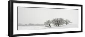 Snowfall Jo Davies County Illinois-Steve Gadomski-Framed Premium Photographic Print