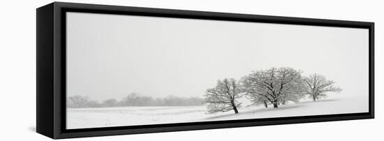 Snowfall Jo Davies County Illinois-Steve Gadomski-Framed Stretched Canvas