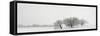 Snowfall Jo Davies County Illinois-Steve Gadomski-Framed Stretched Canvas