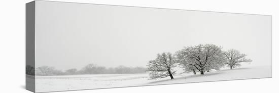 Snowfall Jo Davies County Illinois-Steve Gadomski-Stretched Canvas