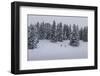 Snowfall, Ski Tourer in Front of a Winter Wood at the Kranzberg at Mittenwald, Wetterstein Range-Rolf Roeckl-Framed Photographic Print