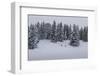 Snowfall, Ski Tourer in Front of a Winter Wood at the Kranzberg at Mittenwald, Wetterstein Range-Rolf Roeckl-Framed Photographic Print