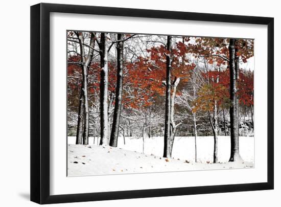 SnowFall-Burney Lieberman-Framed Giclee Print