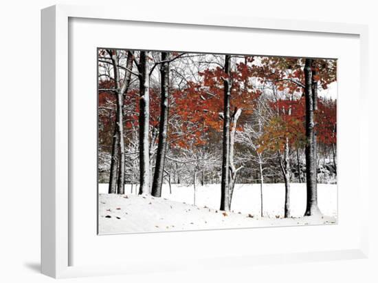 SnowFall-Burney Lieberman-Framed Giclee Print