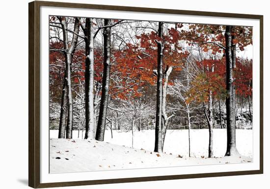 SnowFall-Burney Lieberman-Framed Giclee Print