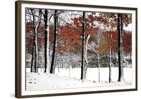 SnowFall-Burney Lieberman-Framed Giclee Print