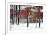 SnowFall-Burney Lieberman-Framed Giclee Print