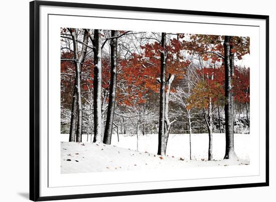 SnowFall-Burney Lieberman-Framed Giclee Print