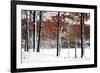 SnowFall-Burney Lieberman-Framed Giclee Print