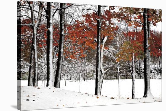 SnowFall-Burney Lieberman-Stretched Canvas