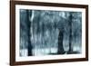 Snowfall-Svetlana Melik-Nubarova-Framed Photographic Print