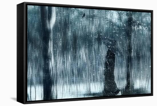 Snowfall-Svetlana Melik-Nubarova-Framed Stretched Canvas