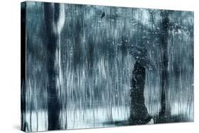 Snowfall-Svetlana Melik-Nubarova-Stretched Canvas