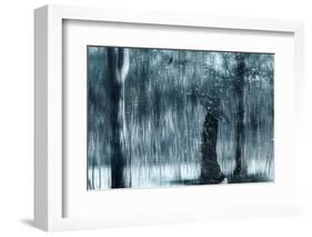 Snowfall-Svetlana Melik-Nubarova-Framed Photographic Print