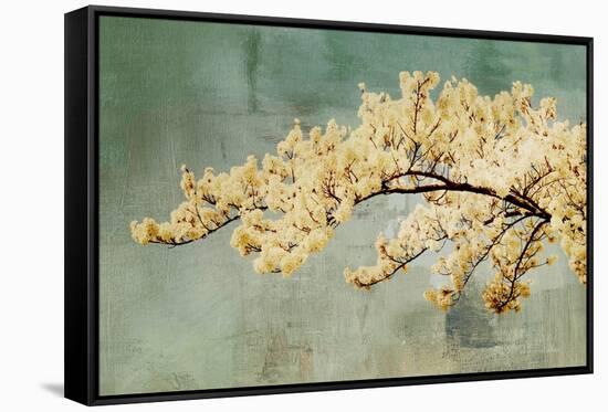Snowfall-Andrew Michaels-Framed Stretched Canvas