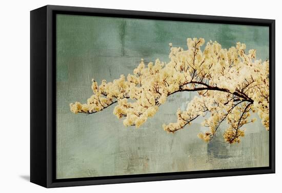 Snowfall-Andrew Michaels-Framed Stretched Canvas