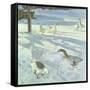 Snowfeeders, 1999-Timothy Easton-Framed Stretched Canvas