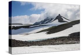 Snowfield Below Mutnovsky Volcano, Kamchatka, Russia, Eurasia-Michael-Stretched Canvas