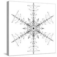 Snowflake 10-RUNA-Stretched Canvas