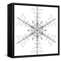 Snowflake 10-RUNA-Framed Stretched Canvas