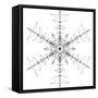 Snowflake 10-RUNA-Framed Stretched Canvas