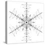 Snowflake 10-RUNA-Stretched Canvas