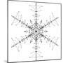 Snowflake 10-RUNA-Mounted Giclee Print