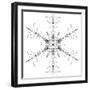 Snowflake 10-RUNA-Framed Giclee Print