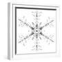 Snowflake 10-RUNA-Framed Giclee Print