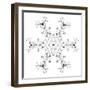 Snowflake 11-RUNA-Framed Giclee Print