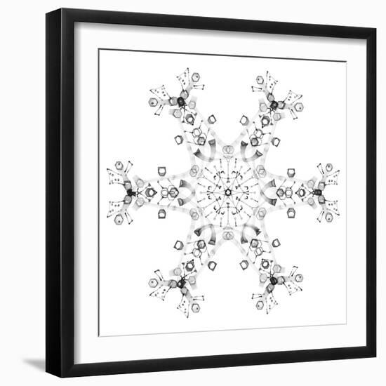 Snowflake 11-RUNA-Framed Giclee Print