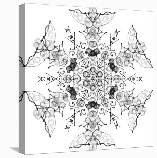 Snowflake 21-RUNA-Stretched Canvas