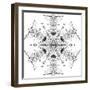 Snowflake 21-RUNA-Framed Giclee Print