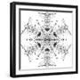 Snowflake 21-RUNA-Framed Giclee Print