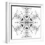 Snowflake 21-RUNA-Framed Giclee Print