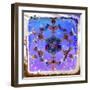 Snowflake 22  Coloring A-RUNA-Framed Giclee Print