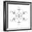 Snowflake 22-RUNA-Framed Giclee Print