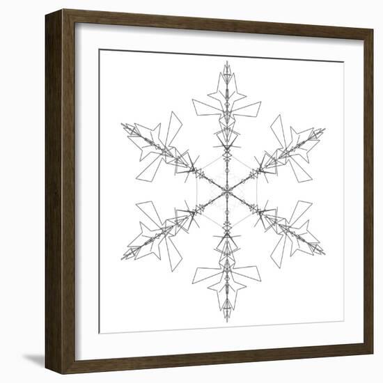 Snowflake 2-RUNA-Framed Giclee Print